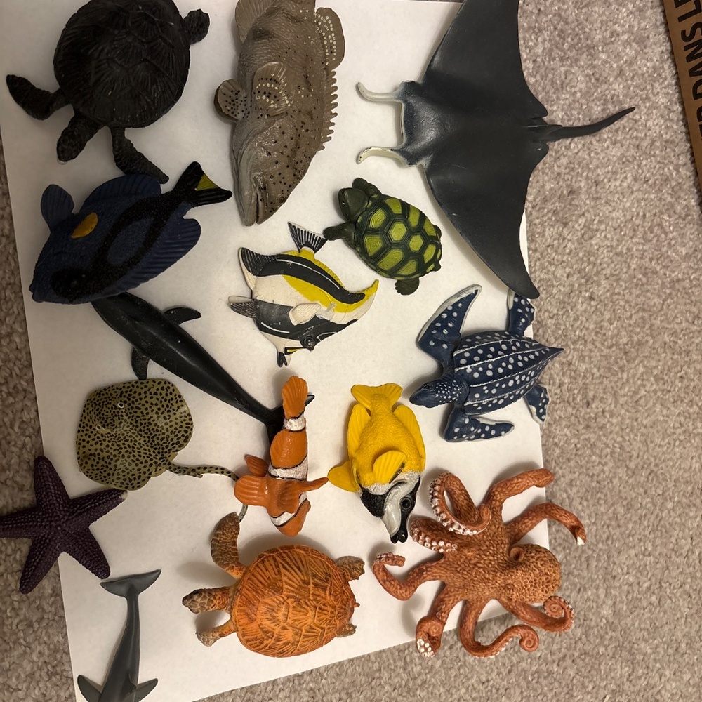 Sea creature bundle - Picture 2 of 5